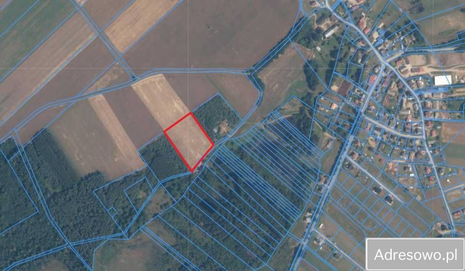 Działka siedliskowa Karlikowo. Zdjęcie 2