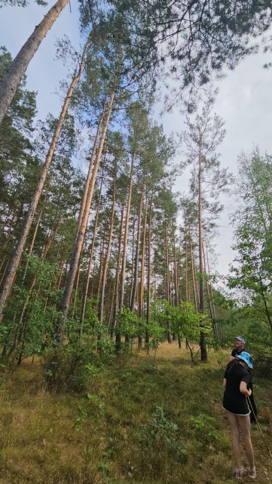 Działka leśna Janowo, ul. Przasnyska. Zdjęcie 4