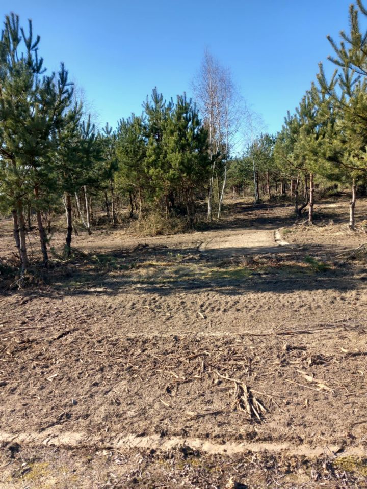 Działka rolno-budowlana Gucin. Zdjęcie 7