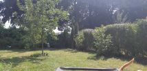 Działka rod Gliwice Stare Gliwice. Zdjęcie 3