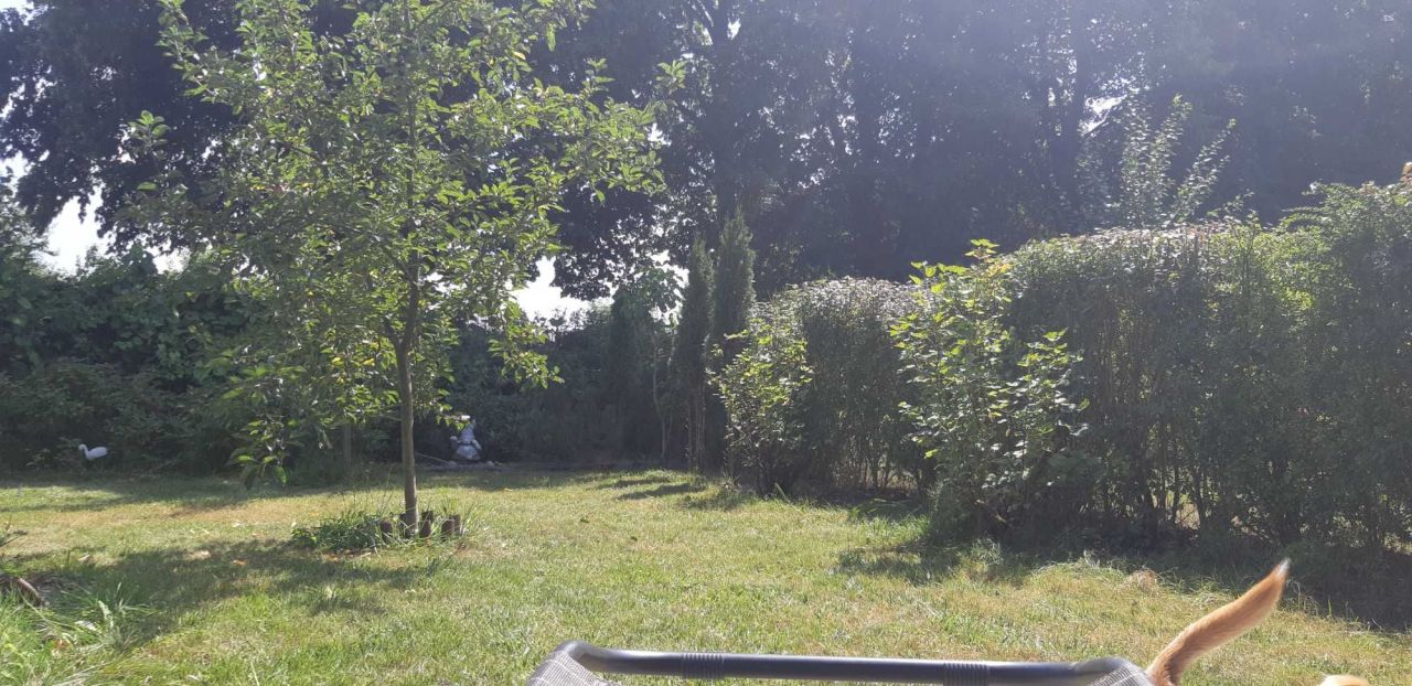 Działka rod Gliwice Stare Gliwice. Zdjęcie 4