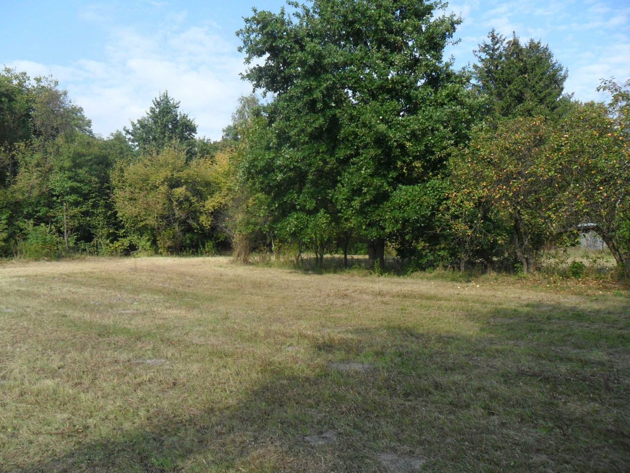 Działka budowlana Wiązowna. Zdjęcie 2