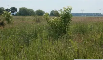 Działka na sprzedaż bez pośredników          
          
            Bobolin - Więcej