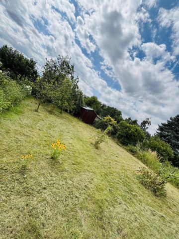 Działka rod Brzeg, ul. Księdza Makarskiego. Zdjęcie 1