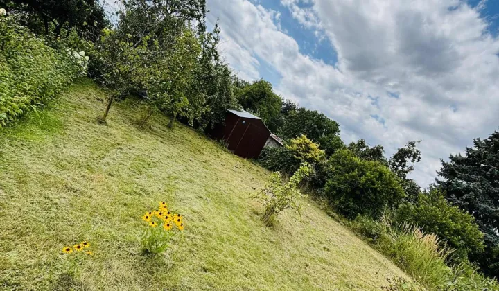 Działka rod Brzeg, ul. Księdza Makarskiego