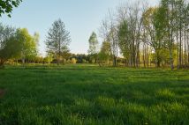 Działka siedliskowa Aleksandrów. Zdjęcie 4