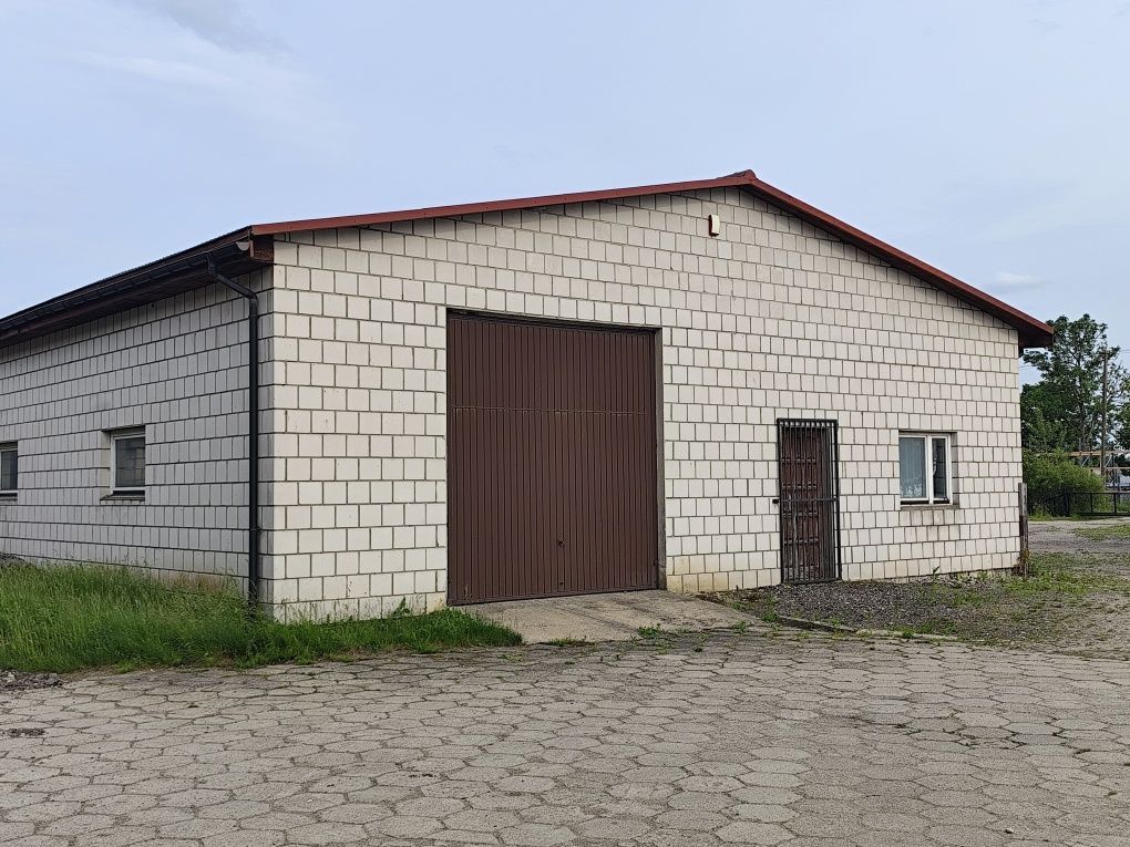 Hala/magazyn Kuriany