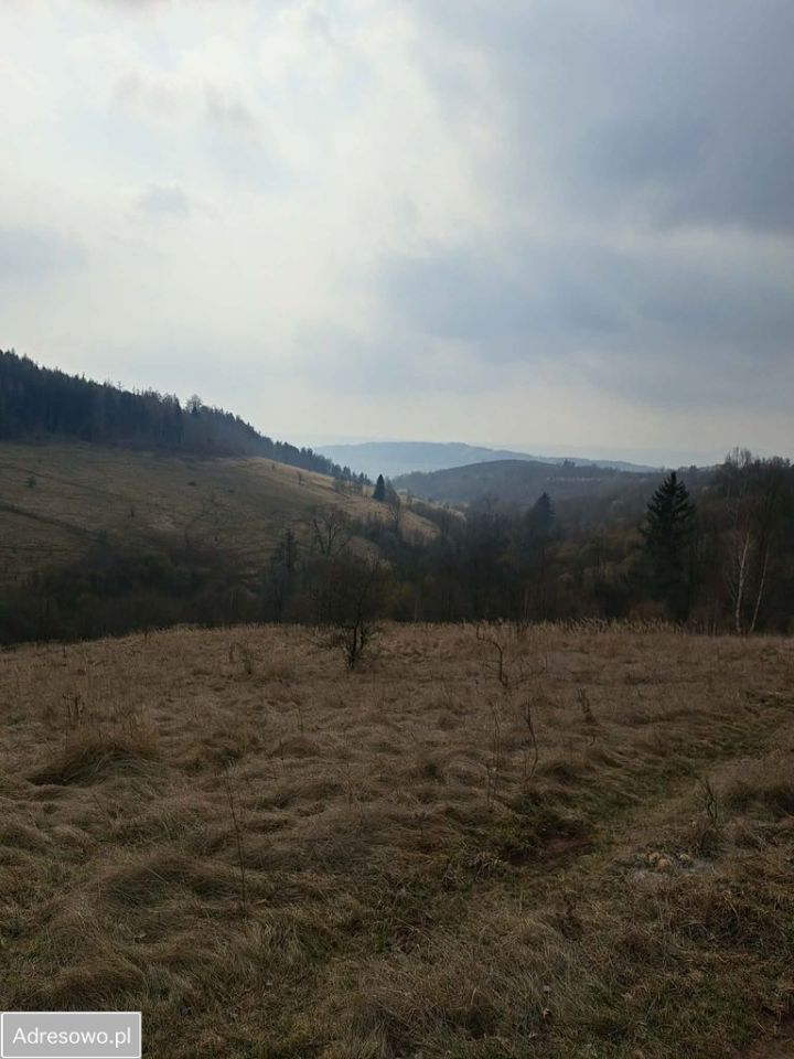 Działka rolna Bieganów. Zdjęcie 3