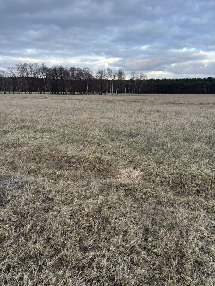 Działka budowlana Strzyżewo Witkowskie. Zdjęcie 7