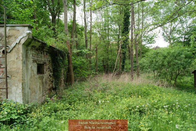 Działka Romanów. Zdjęcie 9