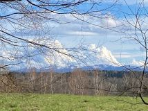 Działka budowlana Michniowiec. Zdjęcie 4