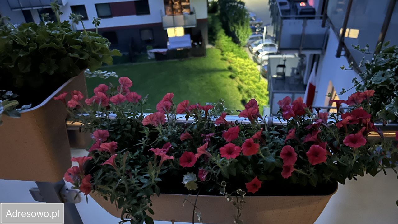 Mieszkanie 3-pokojowe Bydgoszcz Osiedle Leśne, ul. Powstańców Warszawy. Zdjęcie 11