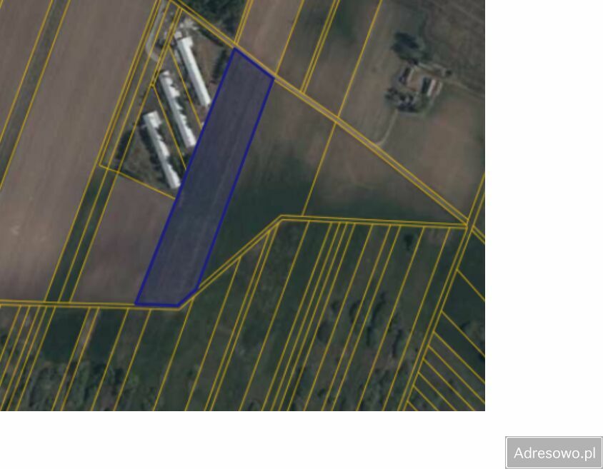 Działka rolna Raczyny. Zdjęcie 2