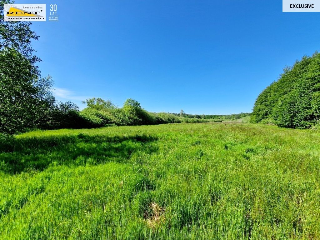 Działka rolna Kobylanka. Zdjęcie 6