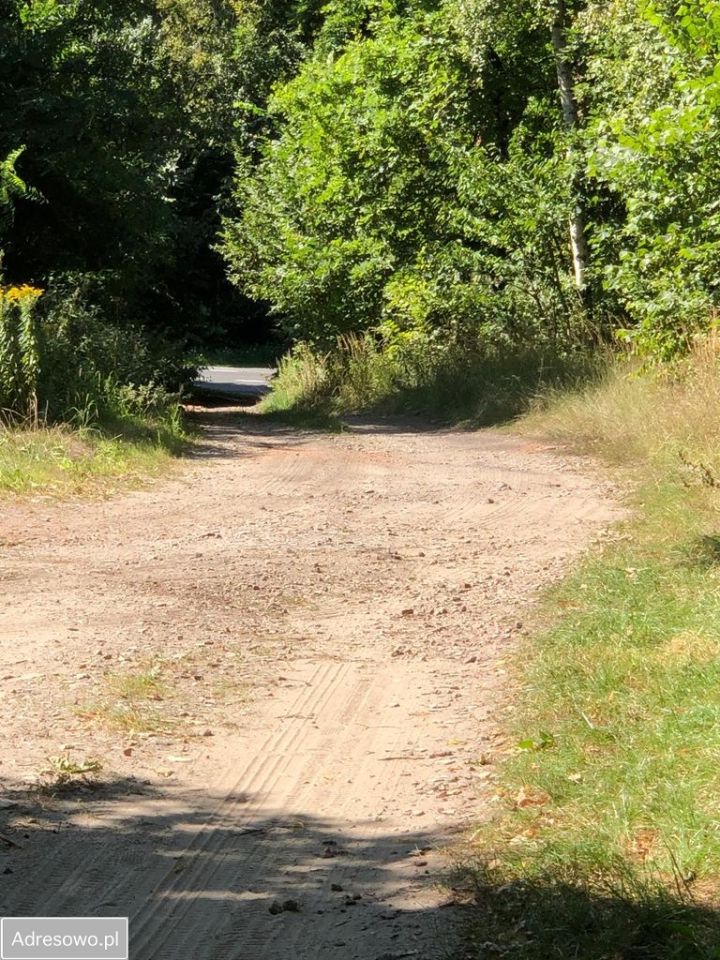 Działka budowlana Drogoszowice. Zdjęcie 4