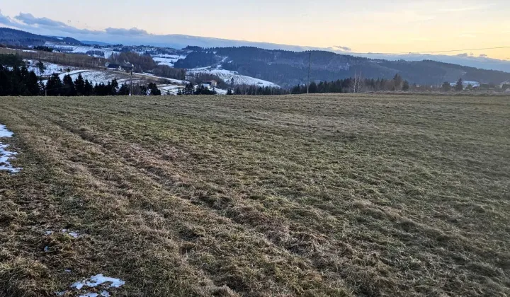 Działka budowlana Koniuszowa