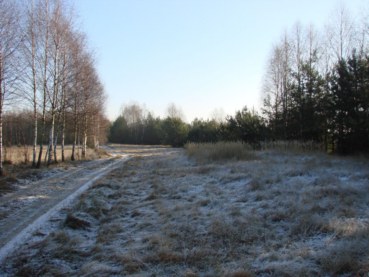 Działka rolno-budowlana Rędziny. Zdjęcie 9