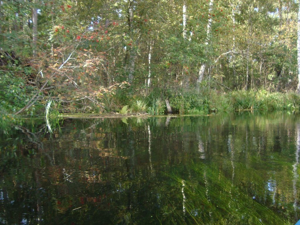 Działka rolna Dębki. Zdjęcie 14