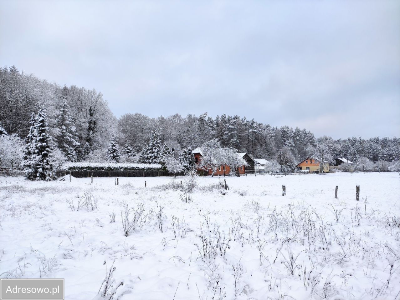 Działka rolno-budowlana Wiewiórowo. Zdjęcie 17
