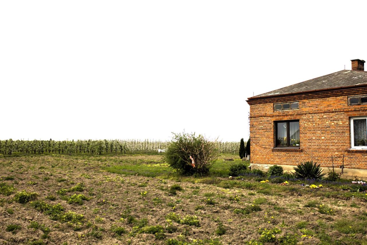 gospodarstwo Obrazów. Zdjęcie 7