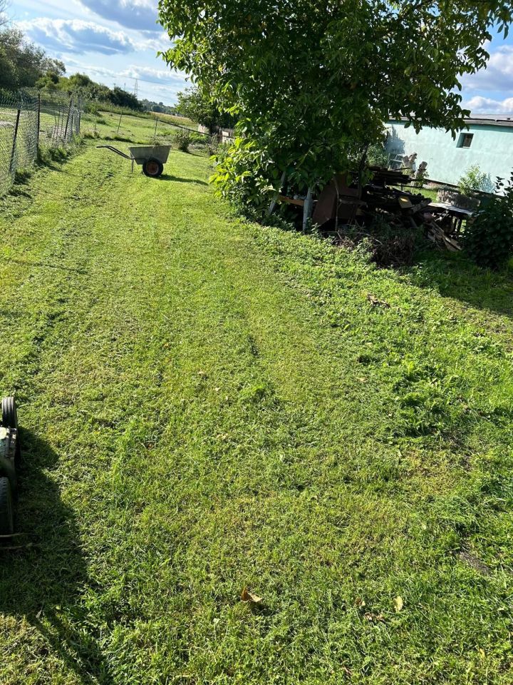 Hala/magazyn Prochowice. Zdjęcie 6