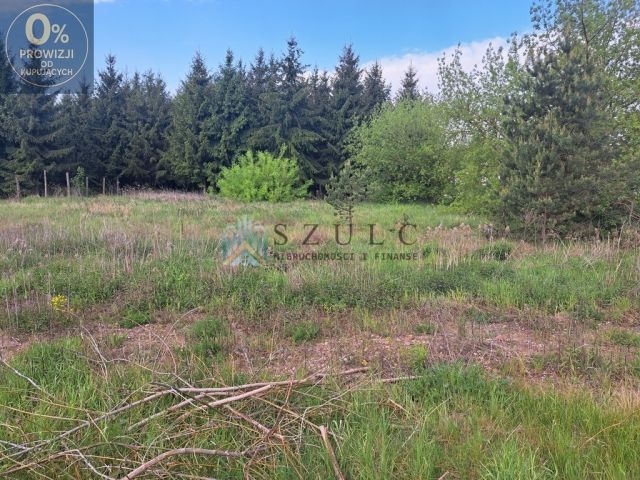 Działka rolno-budowlana Płociczno-Tartak. Zdjęcie 5