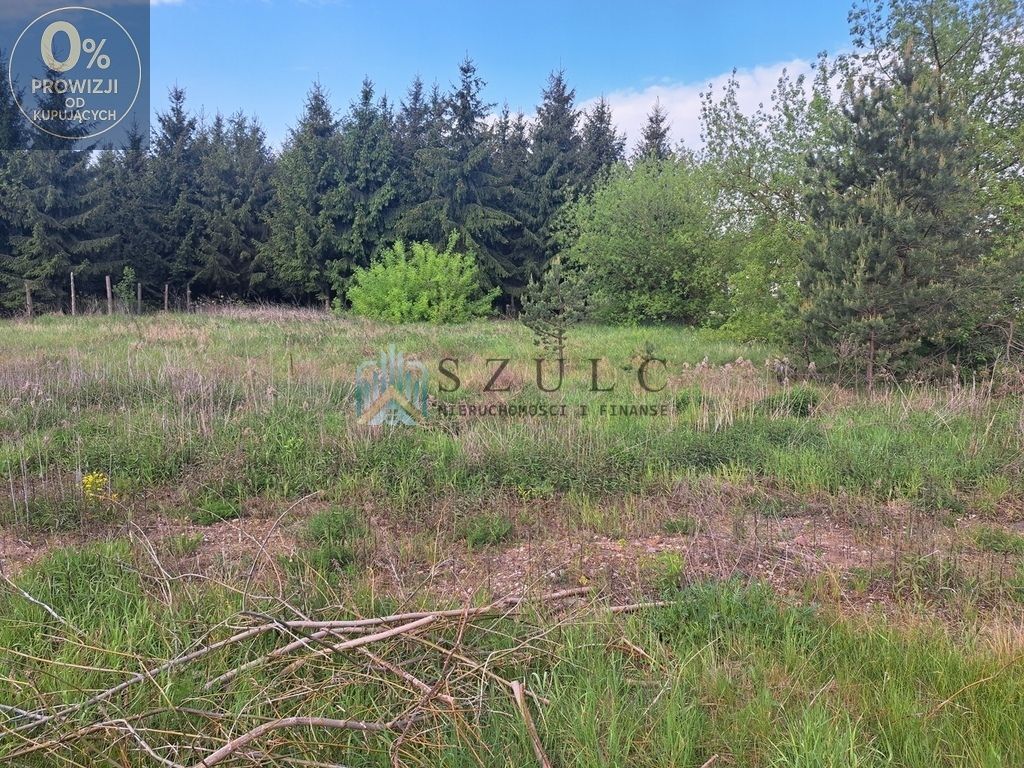 Działka rolno-budowlana Płociczno-Tartak. Zdjęcie 5