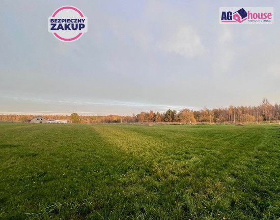 Działka inwestycyjna Pomlewo, ul. Kasztanowa. Zdjęcie 2