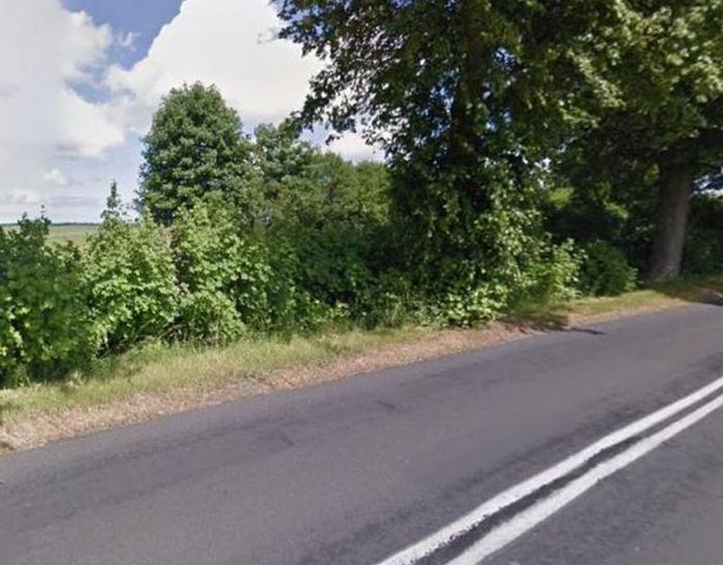 Działka rolna Gosław. Zdjęcie 3