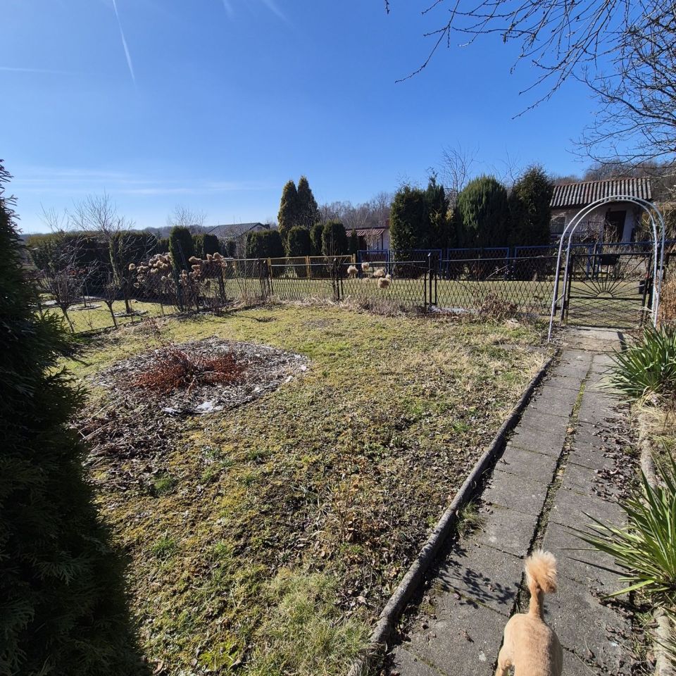 Działka rod Zabrze Helenka. Zdjęcie 6