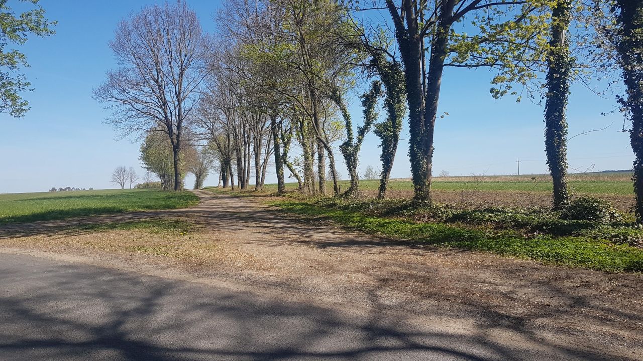 Działka rolna Dargikowo. Zdjęcie 4