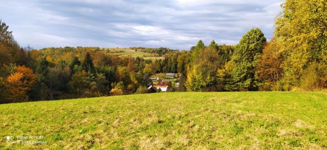 Działka rolno-budowlana Korzeniec. Zdjęcie 1