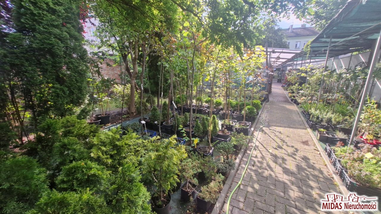 Lokal Włocławek Centrum. Zdjęcie 25