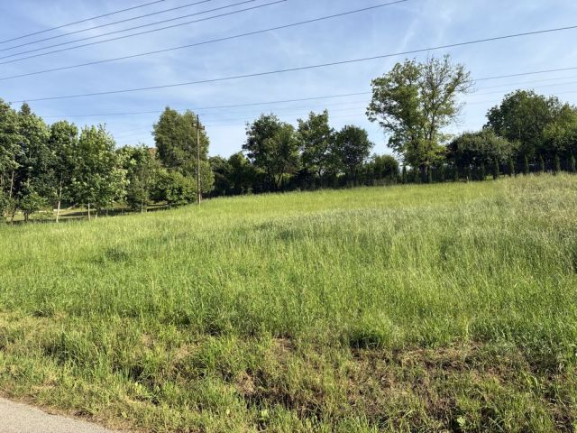 Działka budowlana Januszowice. Zdjęcie 1