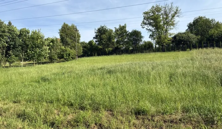 Działka budowlana Januszowice