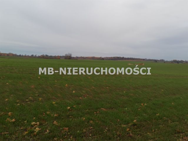 Działka rolna Jurgi. Zdjęcie 5