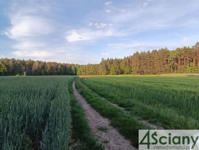 dom wolnostojący, 3 pokoje Wyszonki-Klukówek. Zdjęcie 2