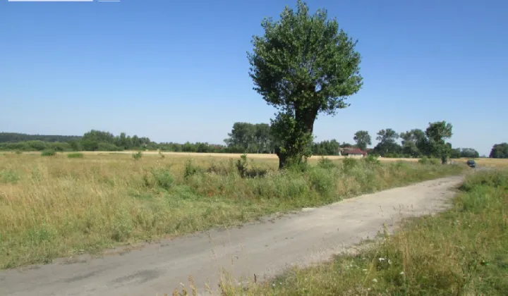 Działka inwestycyjna Kicko