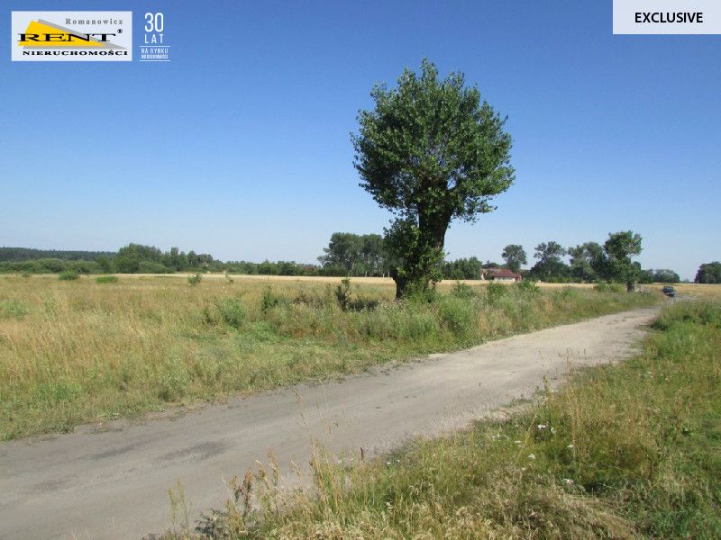 Działka inwestycyjna Kicko