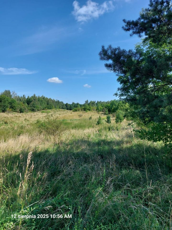 Działka rolna Leleszki. Zdjęcie 8
