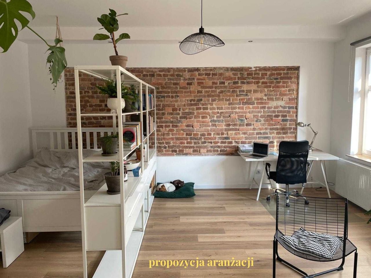 Mieszkanie 1-pokojowe Katowice Załęże, ul. Gliwicka. Zdjęcie 8