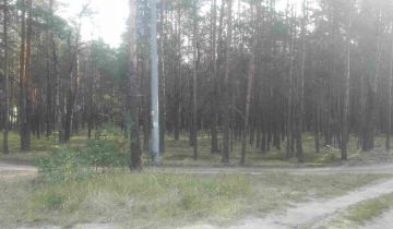 Działka leśna Popowo-Letnisko. Zdjęcie 1