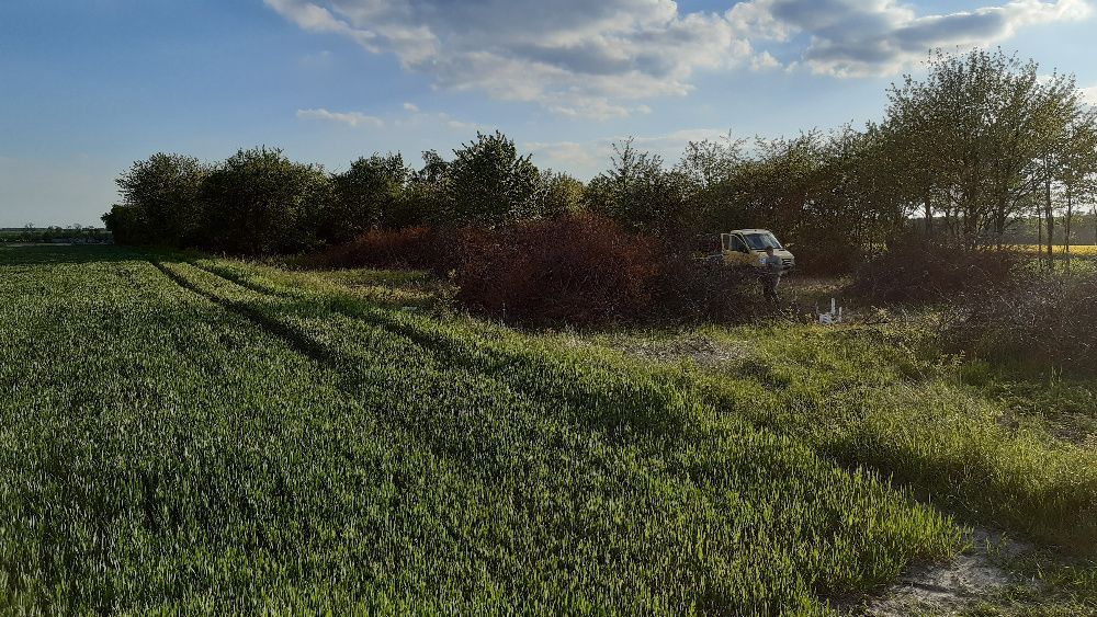 Działka rolna Chycza-Brzóstki. Zdjęcie 2