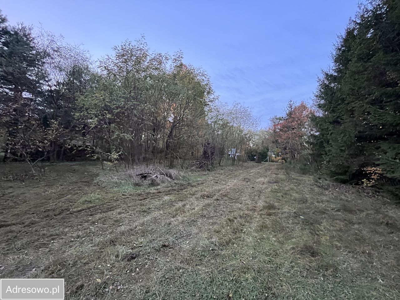 Działka rolno-budowlana Huta Jeżewska. Zdjęcie 7