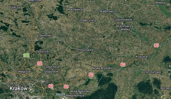 dom wolnostojący Proszowice