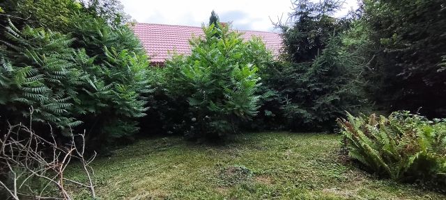 Działka siedliskowa Zawada. Zdjęcie 4