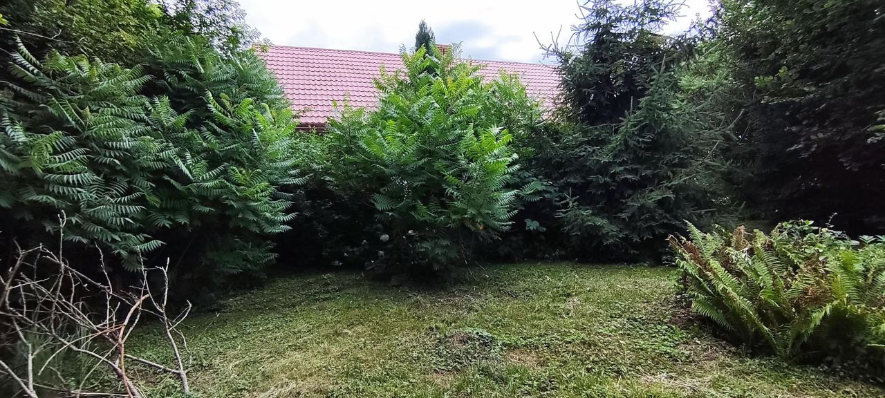 Działka na sprzedaż bez pośredników 
 
 Zawada - Widok 5