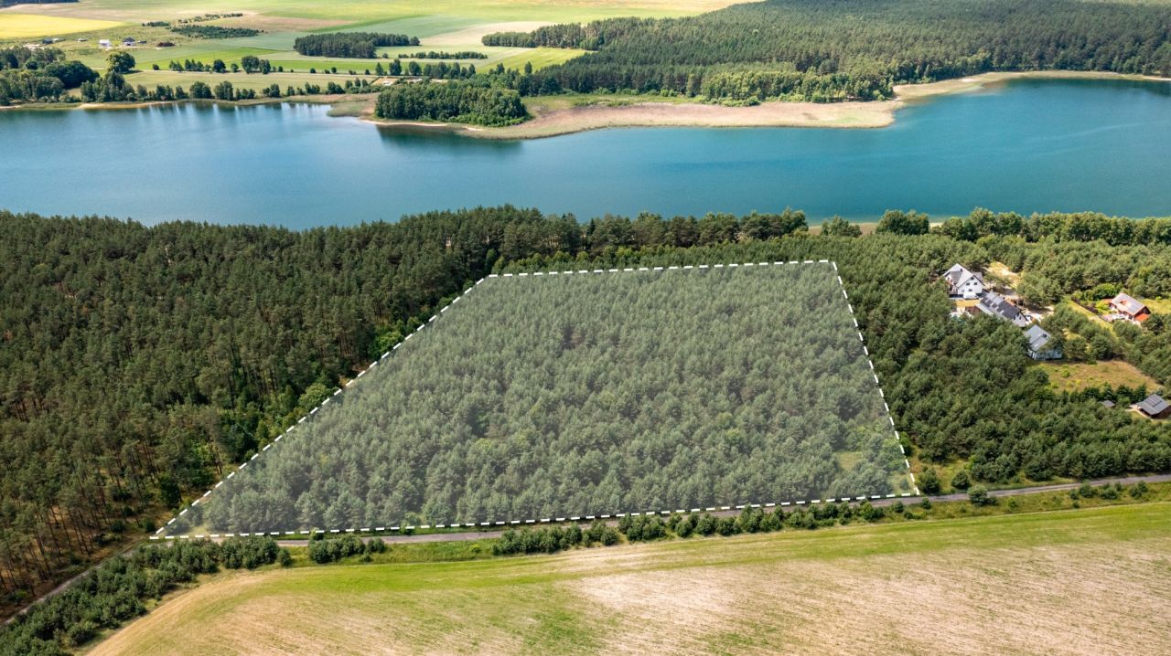 Działka inwestycyjna Koczała, Dymin. Zdjęcie 1