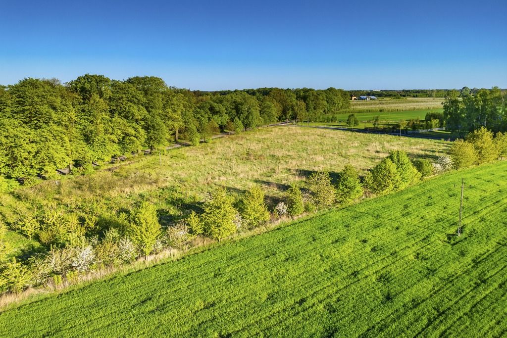 Działka budowlana Pasikonie. Zdjęcie 10