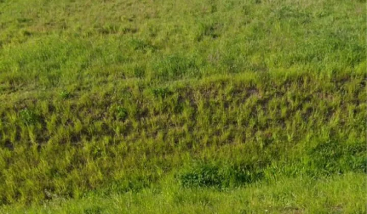 Działka inwestycyjna Czarna